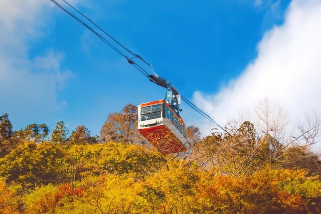 Full-Day Adventure Guided Tour from Busan to Mt Naejang  - Photo 1 of 6